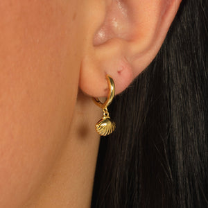 Shell Hoops - Gold